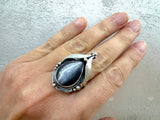 Silver 925 Earrings Ring gray tiger eye