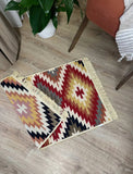 Multicolored patterned rug on a wooden floor with a plant and chair in the background.