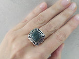 Silver 925 Earrings Ring agate